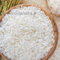 قیمت برنج طارم فروش برنج طارم