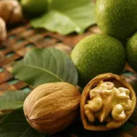 گردو شاه کلید درمان این بیماریست