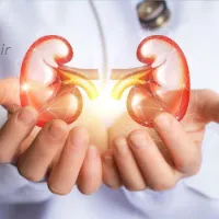 هفت نوشیدنی برای پاکسازی کلیه‌ها به طور طبیعی