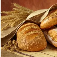 برای مصرف نان این نکات را در نظر بگیرید