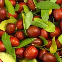میوه ای جادویی برای خلاصی از بی خوابی