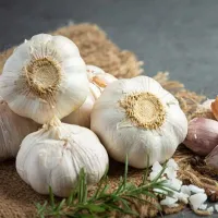 آسیب‌های خوردن «سیر» با معده خالی