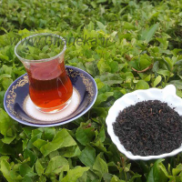 خرید چای لاهیجان چای ممتاز لاهیجان سایت گیلانی کا