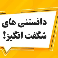 دانستنی های جالب و شگفت انگیز از سراسر دنیا