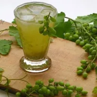 آب شله یا موهیتو گیلانی ،شمالی است که از ابغوره تهیه میشود