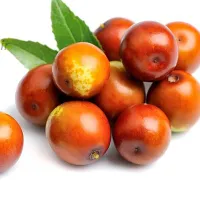 خواص عناب