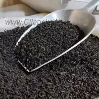 قیمت خرید چایی ممتاز ۱۴۰۴