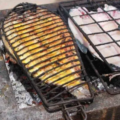 طرز تهیه ماهی مالاتا گیلانی ماهی کبابی با سس مخصوص