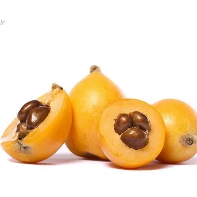ازگیل یا انبو گیلان ،میوه لوکوات