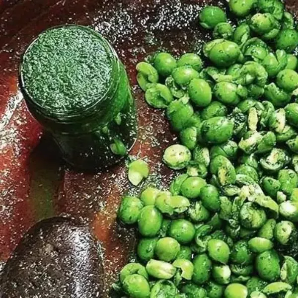 فروش دلار نمک سبز گیلانی خوش عطر و محلی