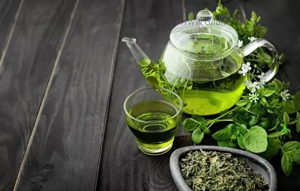 عکس چای سفز عکس فنجان و قوری عکس چای خشک چای سبز و فنجان عکس برگ چای