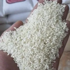 برنج سرلاشه هاشمی تحویل در ابهر