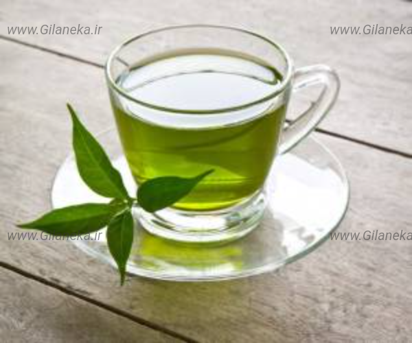 چای سبز سایت گیلانیکا