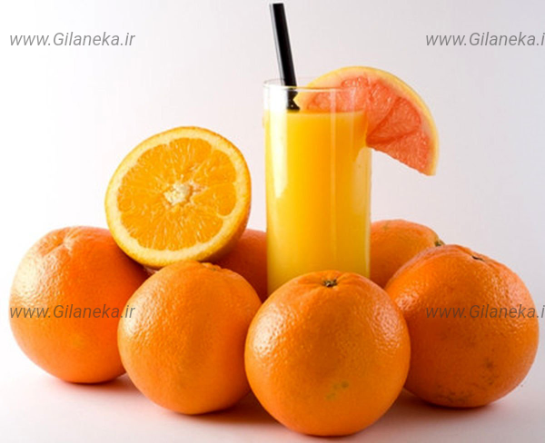آب پرتقال سایت گیلانیکا 
