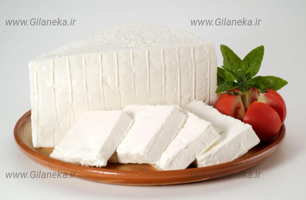 پنیر سایت گیلانیکا 