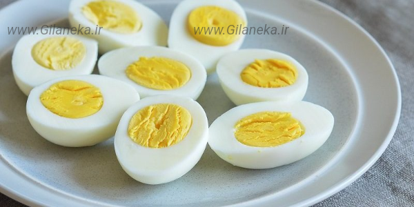 تخم مرغ سایت گیلانیکا 